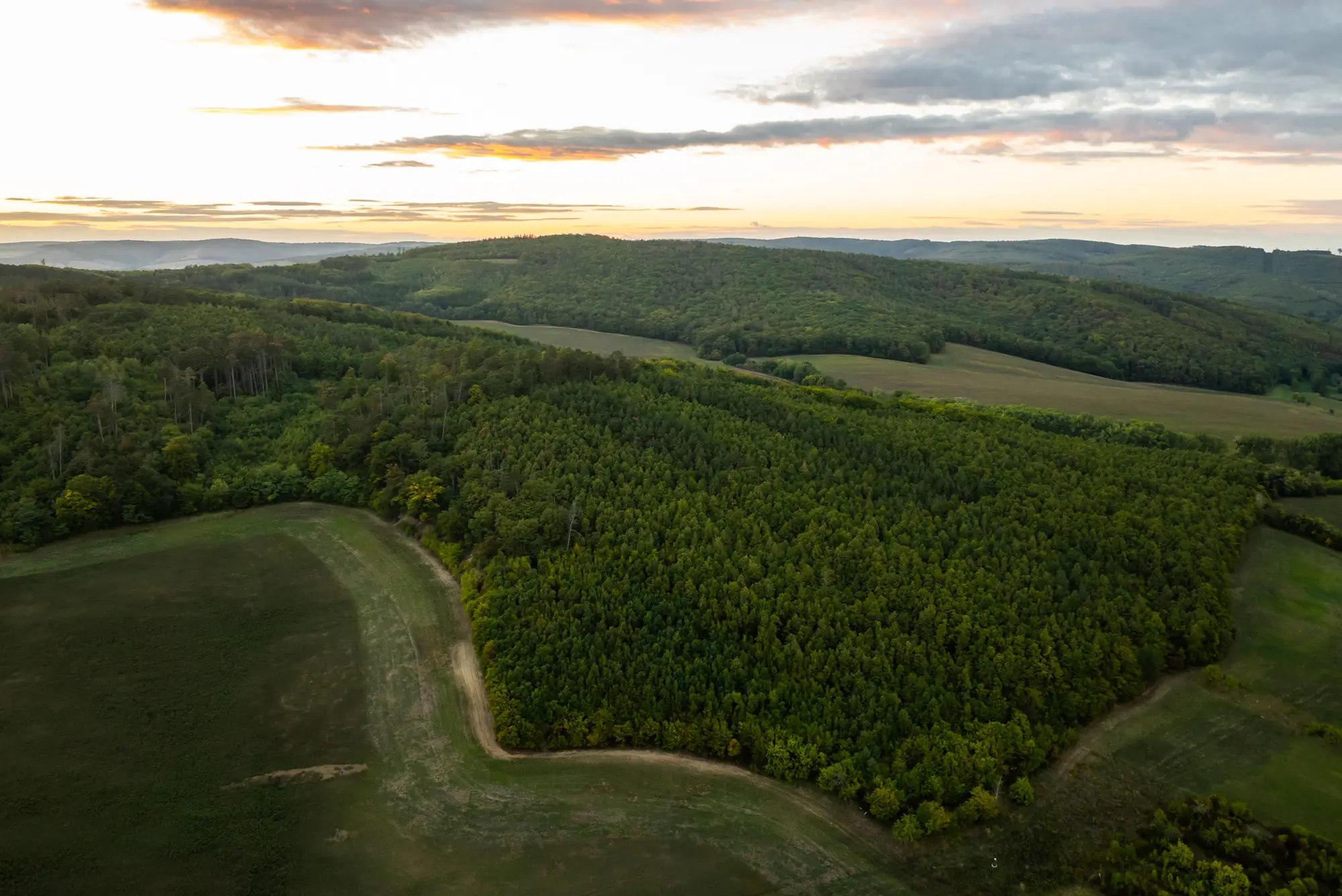 Lesy Chřibů nad Bohuslavicemi